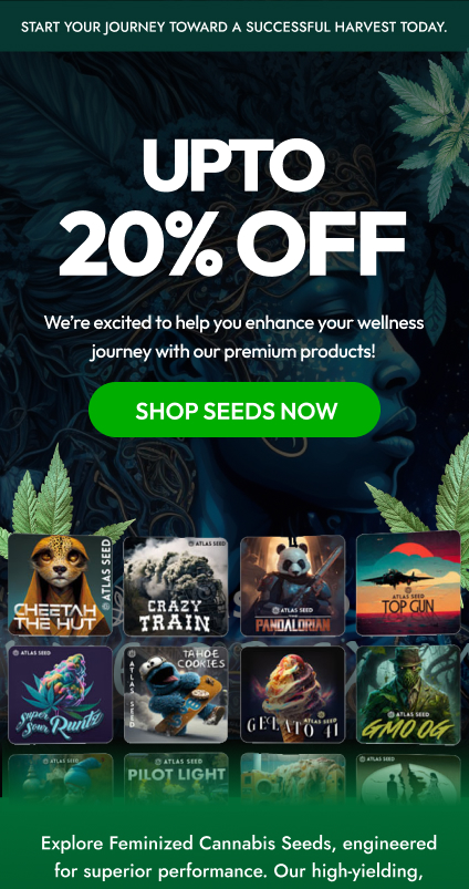 CBD Email campaigns